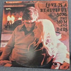 Love Is a Beautiful Song Vinyl Record